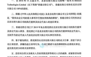 北京比特大陆营业执照事件，区块链行业的深度剖析与未来挑战