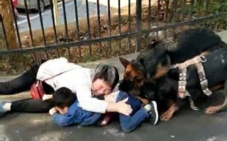 悲剧！幼童遭恶犬撕咬拖行，众人合力救援