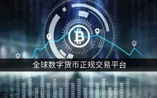 比特儿交易平台数字货币交易的领航者还是风险之源？