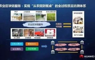 区块链农业供应链的业务流程