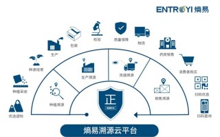 深度解析，揭秘能链SAAS，区块链赋能的能源管理新时代