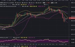 一、理解比特币日实时行情线图