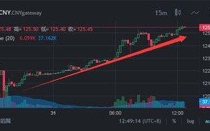 【雷达币价格行情速递】把握最新动态，洞察市场先机！