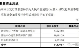 实习生必读如何关注并理解比特股价格今日行情