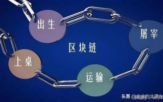 探析鸡零狗碎，一个非主流生肖的深层含义与区块链应用