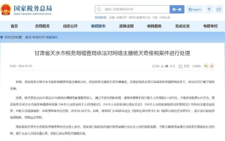 网络主播王子柏偷税被罚事件深度剖析，警示与反思