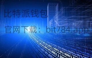 实习生必读掌握比特派钱包最新版的关键要点