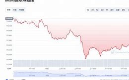 数字黄金的脉搏比特币行情最新价格美金解析