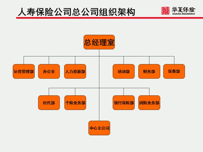 保险组织架构-第1张图片-牛市财经 