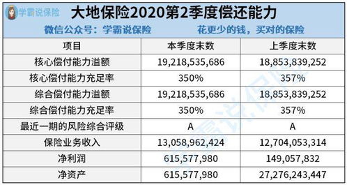 大地保险公司综合评价-第1张图片-牛市财经 