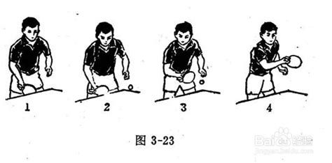 乒乓球正手攻球动作要领文字-第1张图片-牛市财经 