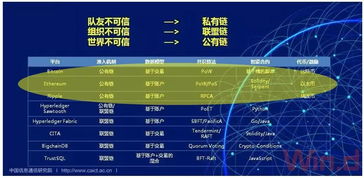 全球最大的区块链平台-第1张图片-牛市财经 