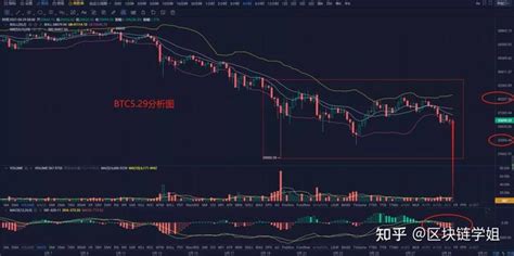 区块链逆势回升的原因是什么-第1张图片-牛市财经 