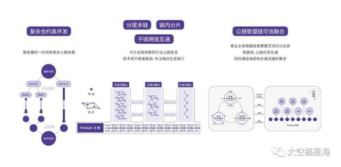 区块链基础设施的建设模式包括-第1张图片-牛市财经 