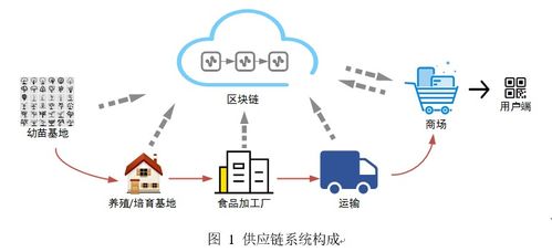 外汇局搭建的跨境金融区块链平台-第1张图片-牛市财经 