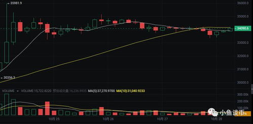 市场现状波澜起伏的数字货币之海-第1张图片-牛市财经 