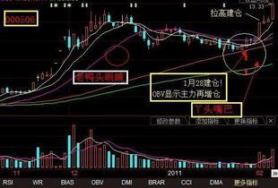 什么是“老鸭头战法”？-第1张图片-牛市财经 