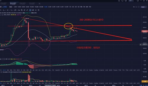 比特现金今日行情走势-第1张图片-牛市财经 