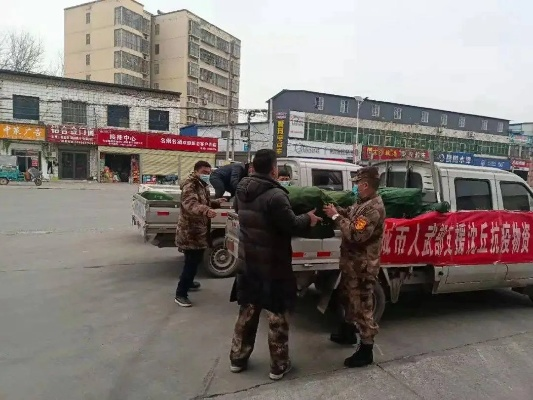 河南沈丘今日疫情，防控措施与居民生活指南-第1张图片-牛市财经 