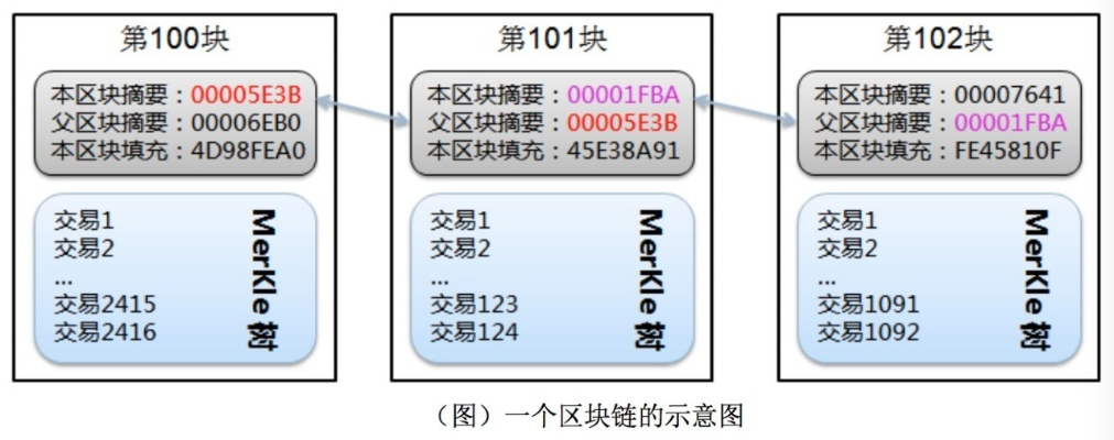 深入探索区块链的六层模型，构建未来的技术基础-第1张图片-牛市财经 