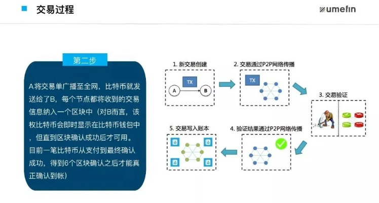 构建未来，深度解析区块链平台搭建方案-第1张图片-牛市财经 